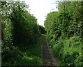 Old railway line towards Dereham, Northall Green in NR19 2DG