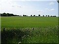Crop field south of Worthing Road in NR20 4LQ