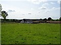 Grazing and farm buildings, Old Hall Farm in NR20 4QF