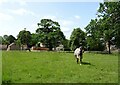 Grazing, Old Hall Farm in NR20 4QF