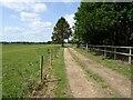 Track near Marsh Cottage in NR20 4JS