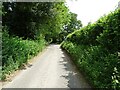 Road towards Fustyweed in NR20 3EJ