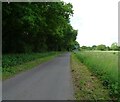 Rectory Road beside woodland in Weston Green
