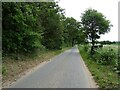 Ringland Lane beside Oak Grove woodland in NR9 5JS