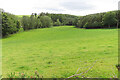 Field among the Woods in AB53 8JP