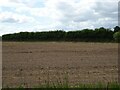 Field and hedgerow near Old Costessey  House in NR8 5DJ