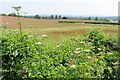 Farmland at Lower Clopton in CV37 0QX