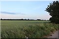 Field by the A16, Wyberton in PE21 7DH