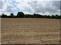 Field near Windmill Farm in NR8 5DW