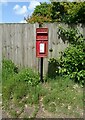 Elizabeth II postbox on Mill Street in NR20 4LQ