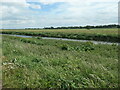South Delph and Washingborough Fen in LN4 1AA