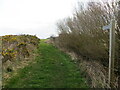 Bridleway footpath across Maryport golf course in Maryport North Ward