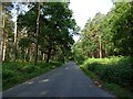 Felthorpe Road through woodland in NR9 5AH