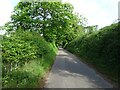 Mill Lane towards Blackwater Farm in Great Witchingham