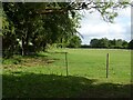 Grazing near Blackwater Farm in NR10 4RF