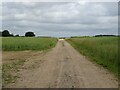 Farm track off Billingford Road in NR20 4RH