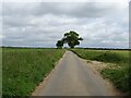 Bintree Road heading north in NR20 5NG