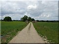 Farm track, Eve's Hill in NR10 4TD