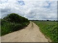 Farm track off Reepham Road, Little Witchingham in Little Witchingham