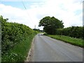 Bend in Reepham Road, Little Witchingham in Little Witchingham