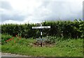 Fingerpost on Reepham Road, Little Witchingham in NR9 5TJ