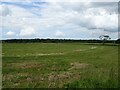 Grassland near Hill Top Farm in NR10 3DB