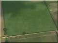 Cropmarks on field at Woodhall Spa: aerial 2025 (1) in LN10 6YD