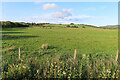 Farmland near Powmill in FK14 7NP