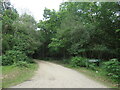 Track in the New Forest, near Ringwood in BH24 3RA