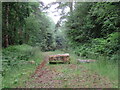 Disused forest track at Bakers Warren in YO13 0BS
