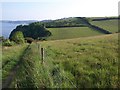 Coast path north of Maidencombe in TQ12 4QN