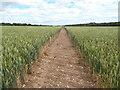 Path through the wheat in LN7 6DA