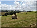 Hay bales by the Herefordshire Trail (Pudleston) in HR6 0RB