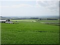 Field south of Belnagoak in AB41 7JN