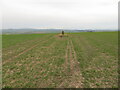 Agricultural land at Crosby hosting an Ordnance Survey Triangulation Pillar in Crosby (Cumberland)
