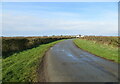 Hedge-lined road approaching Mawbray in CA15 6QU