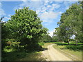 Track in the New Forest, near Lyndhurst in SO43 7HD