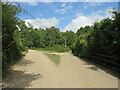 Tracks in the New Forest, near Lyndhurst in SO43 7GN