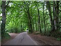 Road running north-west next to Newcombe Common in EX15 2HE