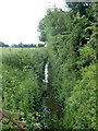 Ditch behind hedge, Ivinghoe Aston to Slapton road in LU7 9FR
