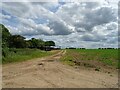 Farm track near Ashtree Farm in IP22 2JA
