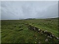 Low wall on grazing land near Ullinish Point in IV56 8FD