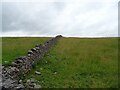 Hillside grazing and stone wall in Limestone Peak Ward