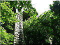 Penponds railway viaduct South side, with trees in TR14 7PJ