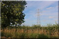 Pylon by Bowden Road, Thorpe Langton in Thorpe Langton