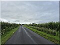 Minor road near Frizington Hall in Weddicar