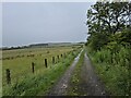 Farm road near Stainburn in CA14 1BF