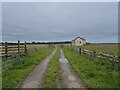 Farm track and disused house near Stainburn in CA14 1XN