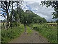 Farm track, Greystoke Gill in CA11 0UQ
