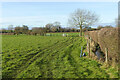 Pasture, Aston Rowant in OX39 4NL